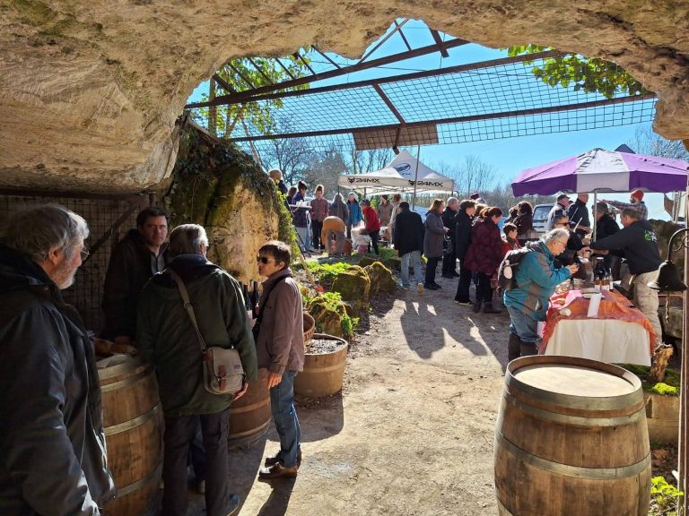 jour-marche-vente-champignons-frais-bio